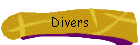 Divers